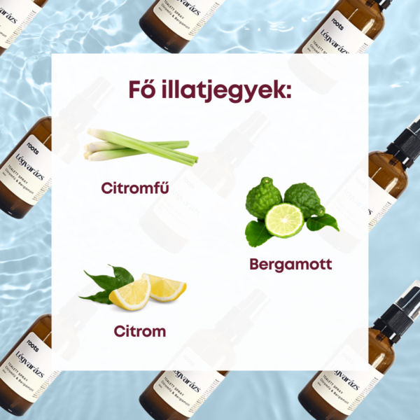 Légvarázs toilett spray